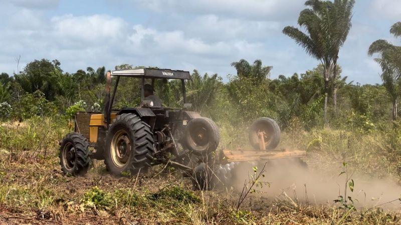 Agricultores do Amapá celebram início de programa de apoio à mandiocultura