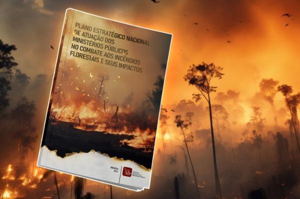 Plano estratégico nacional para combater incêndios florestais unifica ações do MP brasileiro