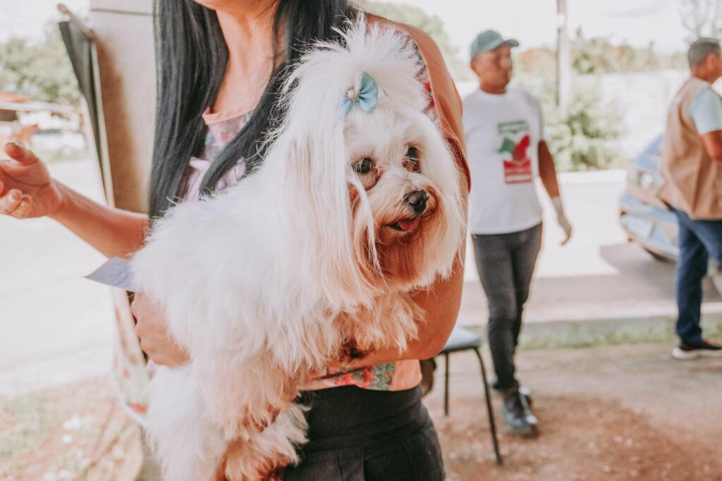 Vacinação antirrábica: Prefeitura de Macapá leva campanha ao bairro Beirol nesta sexta-feira
