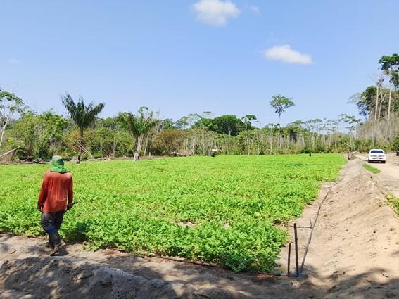 Prefeitura de Laranjal do Jari e Embrapa unem forças para apoiar agricultores familiares