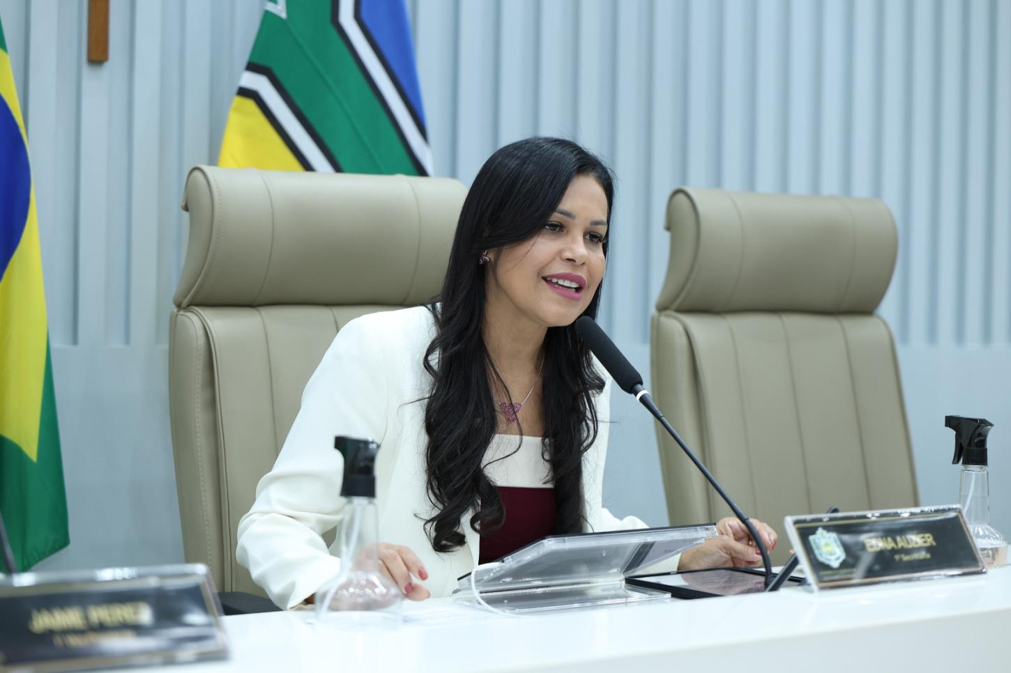 Deputada Edna Auzier: Projeto de lei incentiva o apadrinhamento de autistas no Amapá