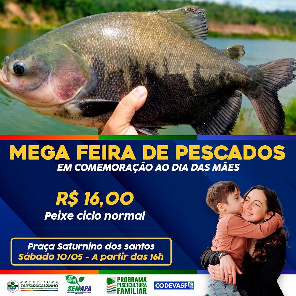 Feira de Pescados da Piscicultura Familiar em Tartarugalzinho celebra o Dia das Mães com sabor e tradição