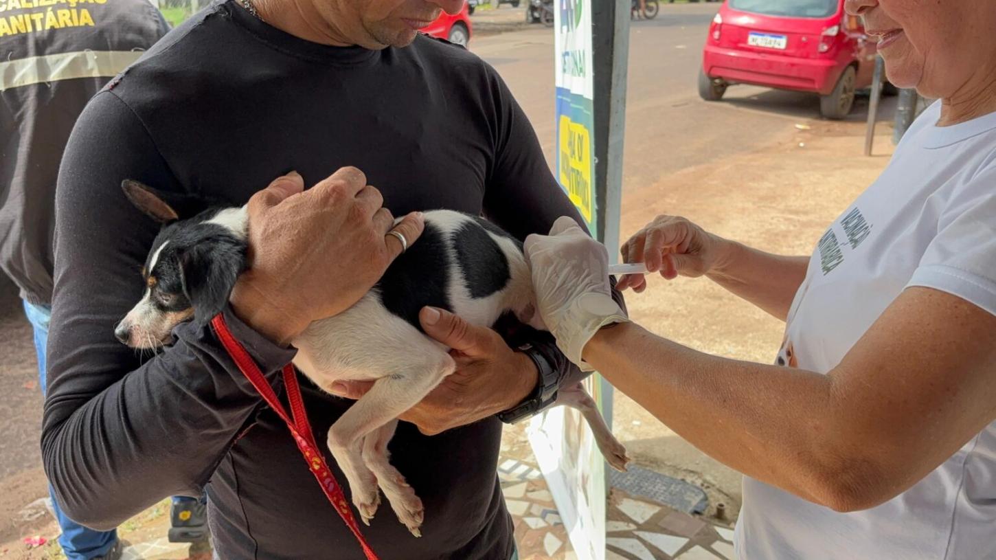 Campanha de Vacinação Antirrábica 2025 inicia com 81 animais vacinados no bairro Elesbão