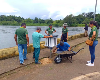 Junho Verde: ações ambientais e de bem-estar animal mobilizam comunidade