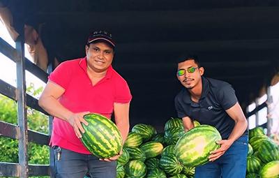 Cutias do Araguari colhe os frutos da agricultura familiar com o programa 
