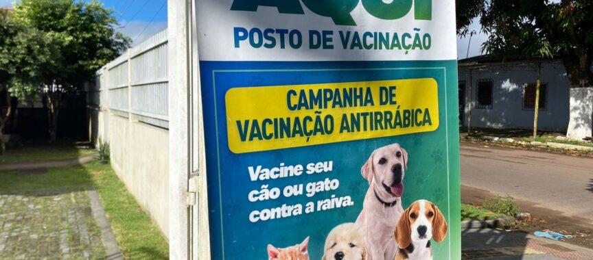 Prefeitura realiza vacinação antirrábica e censo animal no bairro Nova Brasília