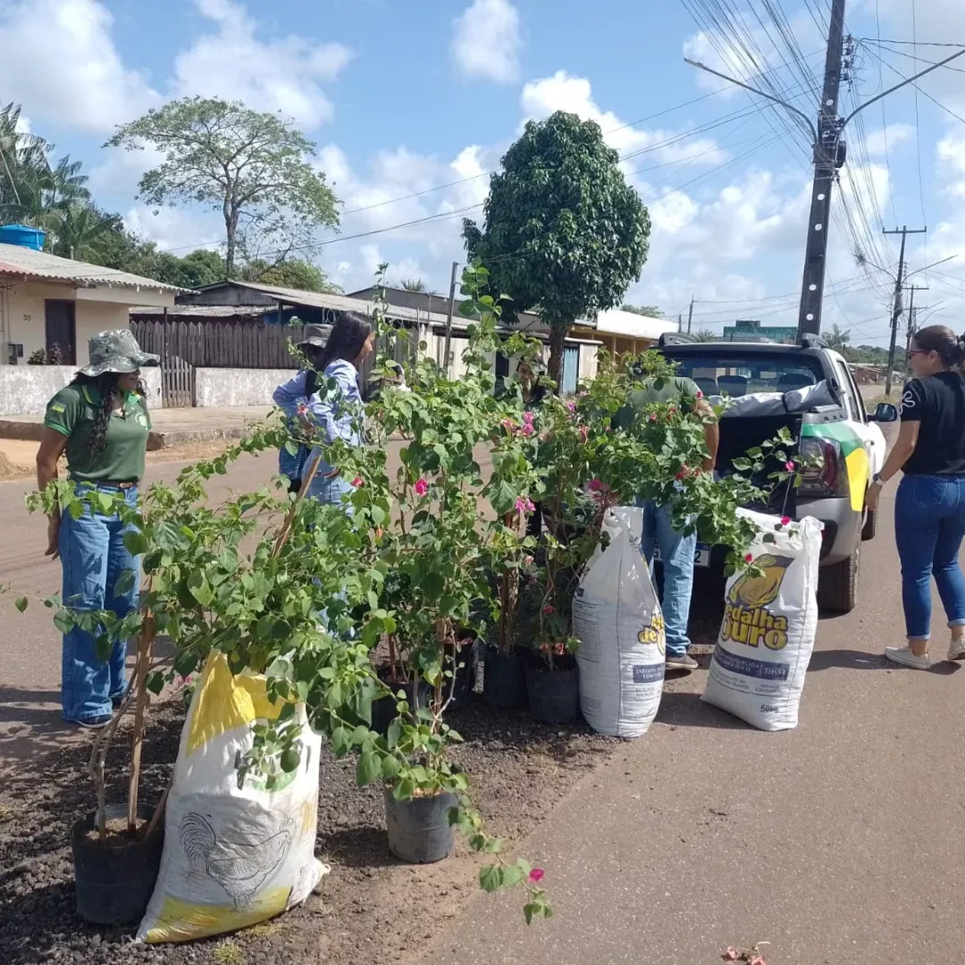 Ação ambiental marca Dia da Árvore com plantio de buganvílias em via pública