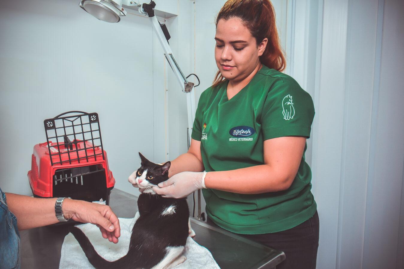 Castramóvel realiza mais de 2 mil castrações de cães e gatos em Macapá durante 2025
