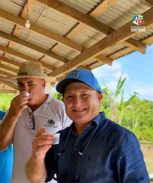 Café robusta impulsiona nova fronteira agrícola em Santana