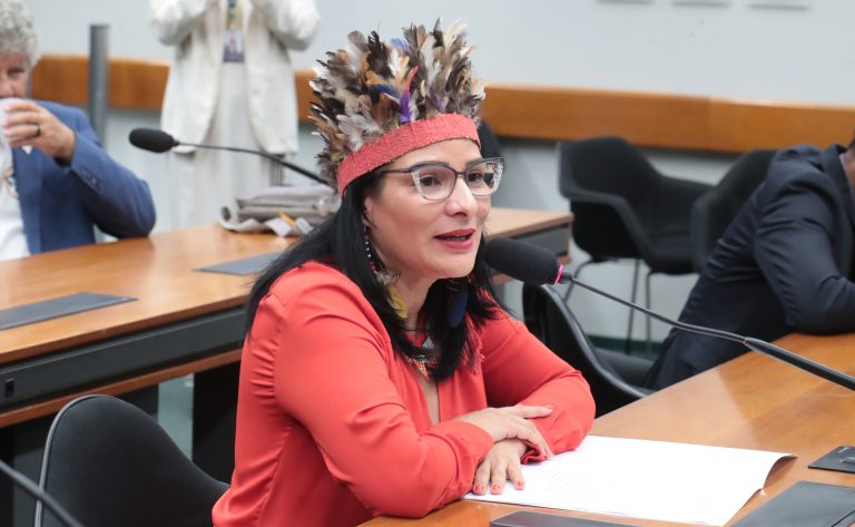 Juliana Cardoso é eleita presidente da Comissão da Amazônia