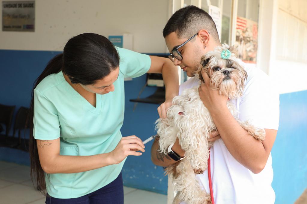 Pracuúba leva vacinação de cães e gatos à sede e às comunidades até 10 de abril