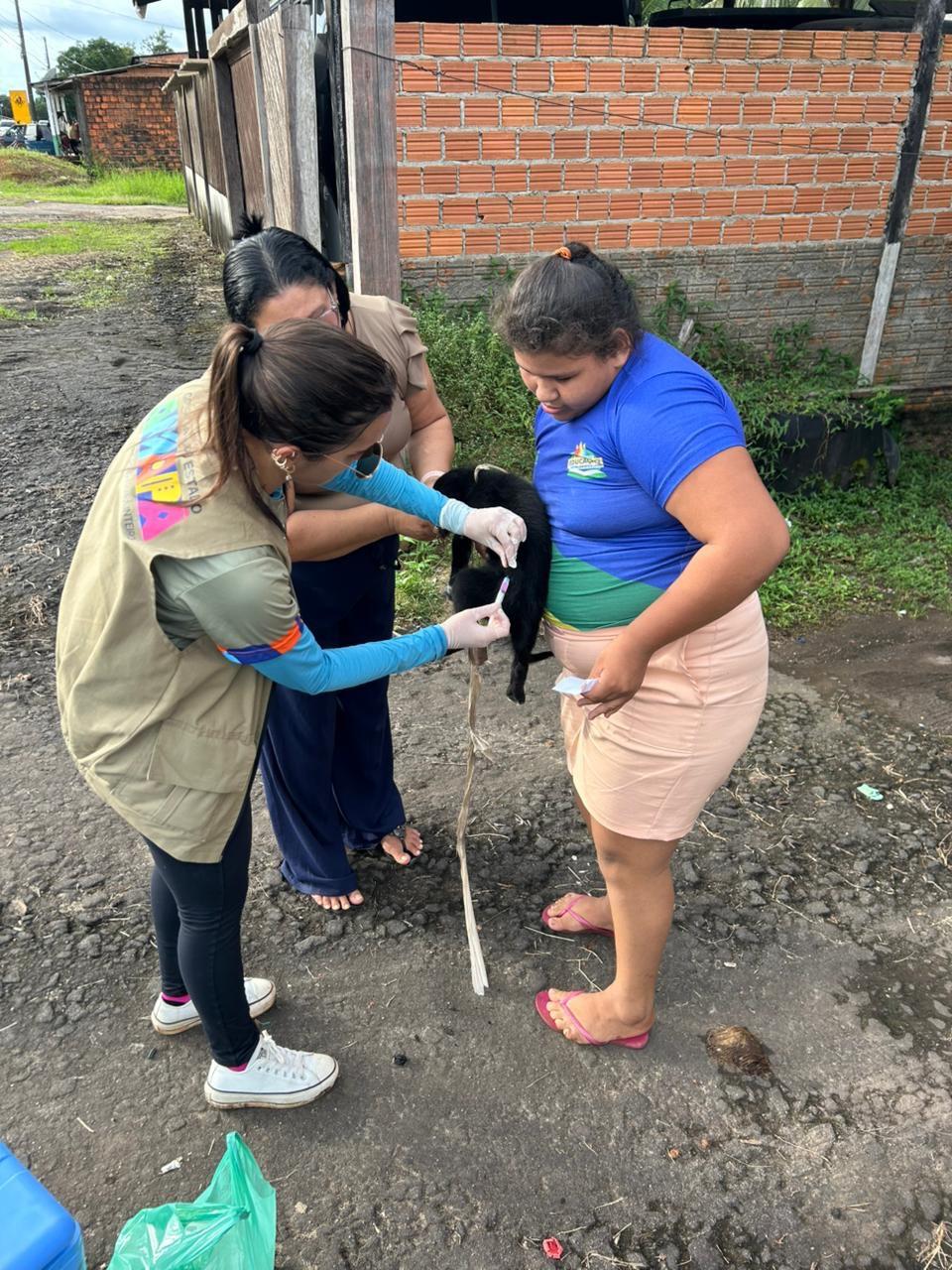 Pracuúba realiza ação de saúde animal e reforça prevenção de zoonoses no município