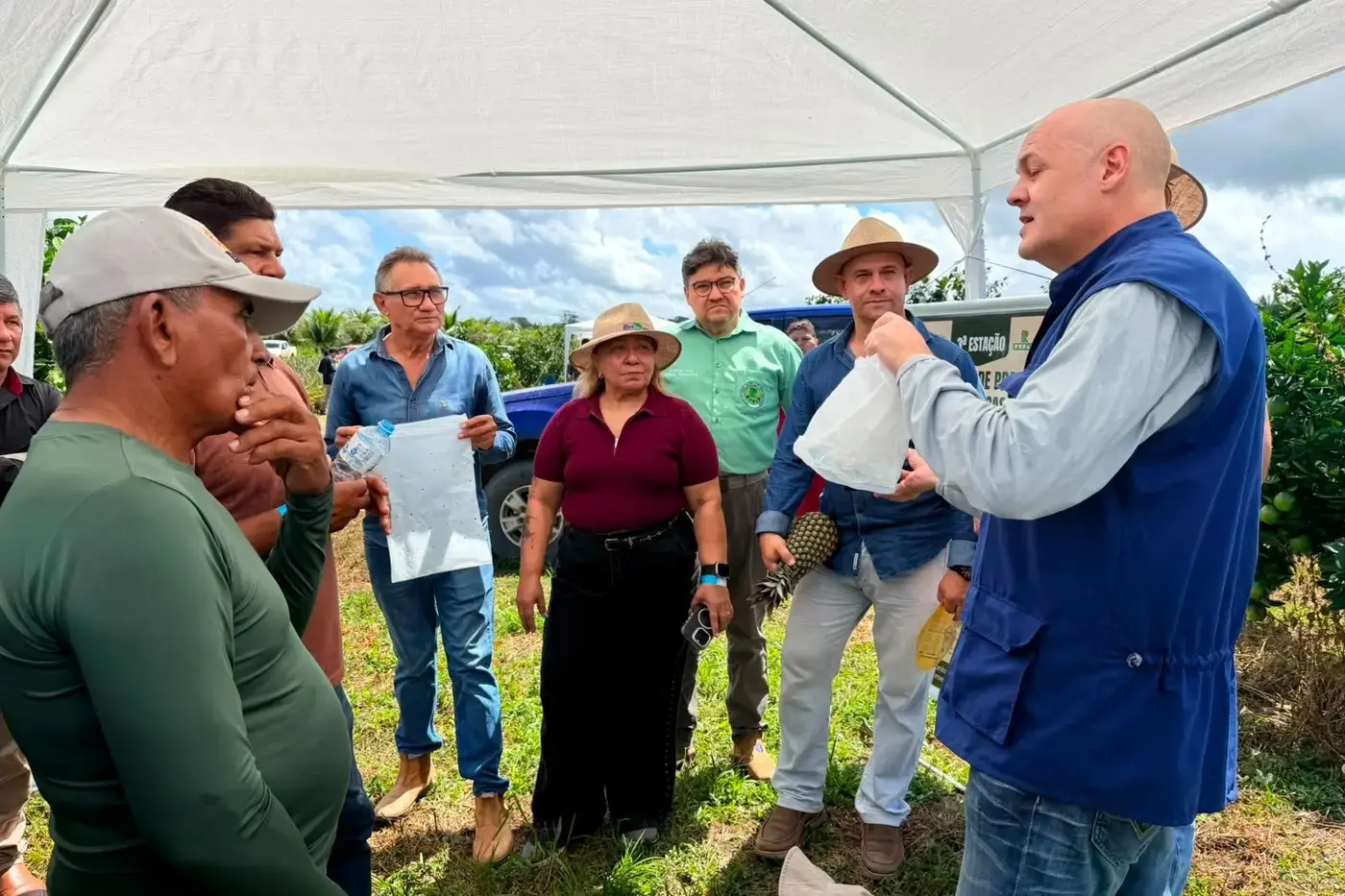 Governo leva assistência técnica ao campo e fortalece a produção de abacaxi em Porto Grande