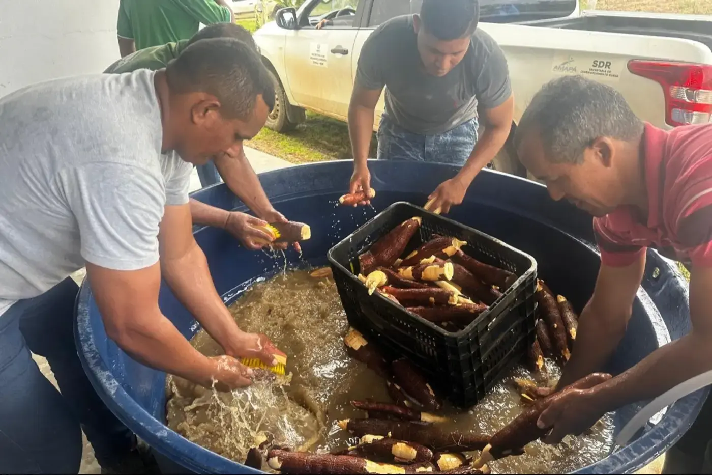 Produtores de Itaubal são capacitados para expandir mercado da farinha