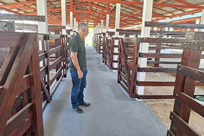 Expofeira 2026 adota protocolos sanitários para garantir segurança aos animais