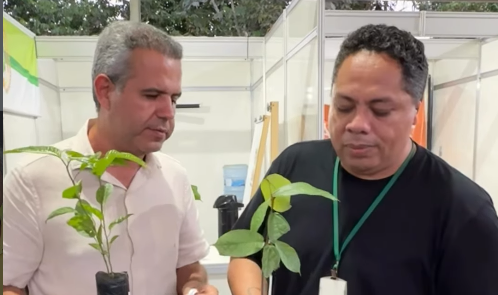 Projeto distribui mudas gratuitamente durante a ExpoAgro e incentiva arborização em Tartarugalzinho