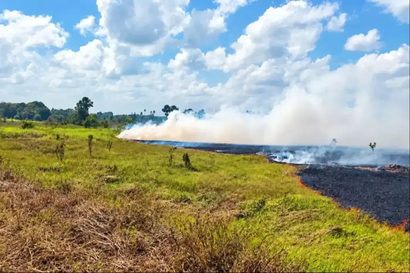 Amapá sob decreto de emergência devido à estiagem e efeitos do El Niño