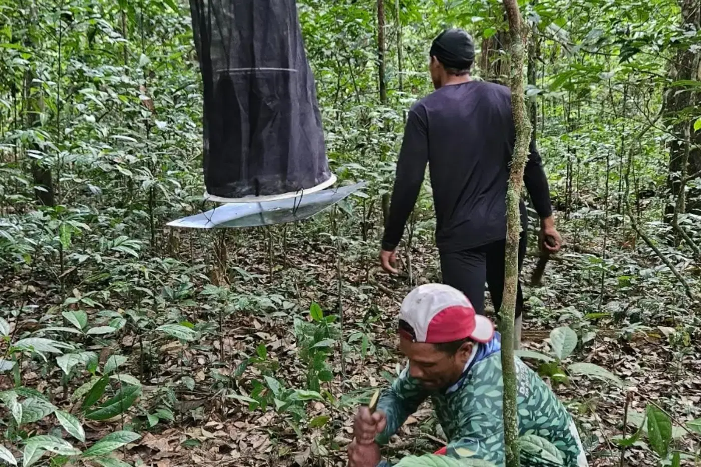Governo realiza segunda expedição de monitoramento da biodiversidade na Reserva do Rio Iratapuru