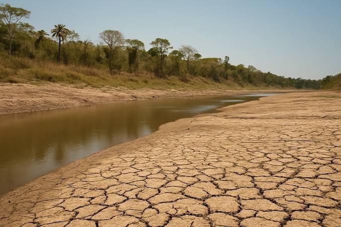 Pracuúba avança para situação de emergência diante dos efeitos da forte estiagem