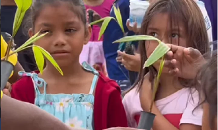 Colônia de Férias promove educação ambiental para crianças em Ferreira Gomes
