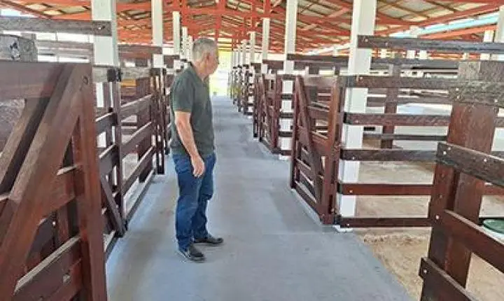 Expofeira 2026 adota protocolos sanitários para garantir segurança aos animais