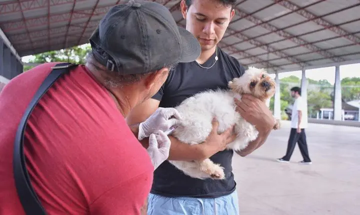 Inicia em Macapá a Campanha de Vacinação Antirrábica para cães e gatos