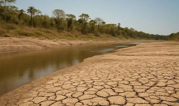 Pracuúba avança para situação de emergência diante dos efeitos da forte estiagem