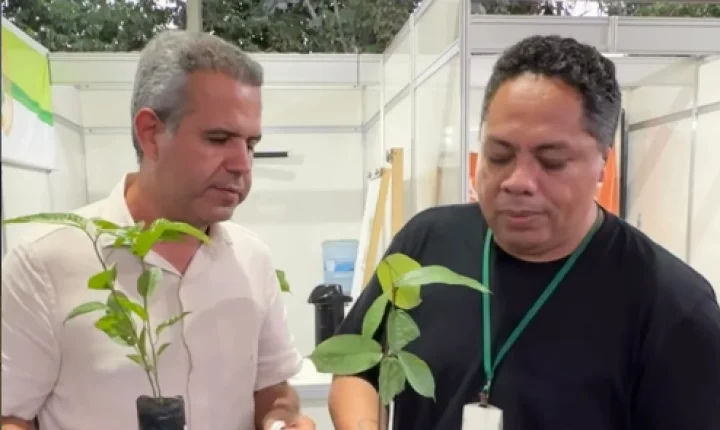 Projeto distribui mudas gratuitamente durante a ExpoAgro e incentiva arborização em Tartarugalzinho