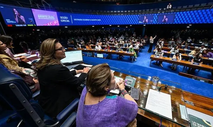 Sessão destaca avanços e desafios após 20 anos da Lei Maria da Penha