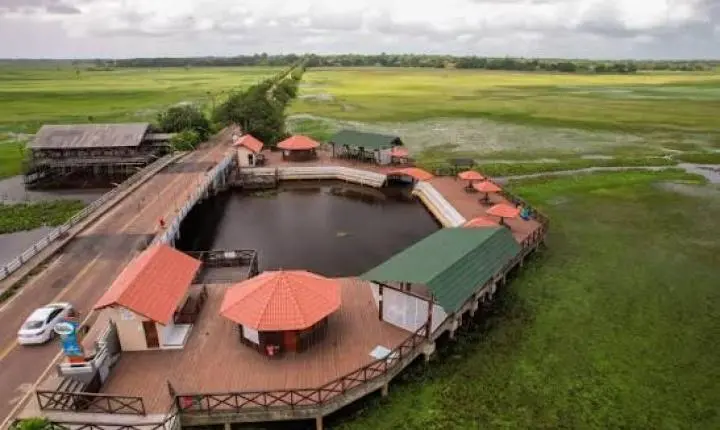 Um Dia no Parque será realizado em 14 de agosto na APA do Curiaú, com remada e contato com a natureza