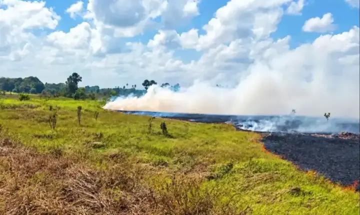 Amapá sob decreto de emergência devido à estiagem e efeitos do El Niño