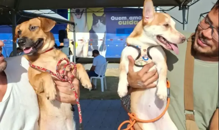 Prorrogado mutirão de castração de cães e gatos no Museu Sacaca