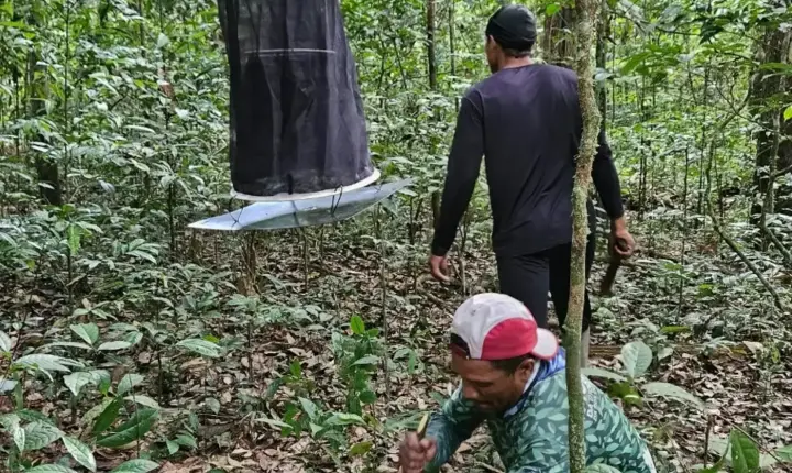 Governo realiza segunda expedição de monitoramento da biodiversidade na Reserva do Rio Iratapuru